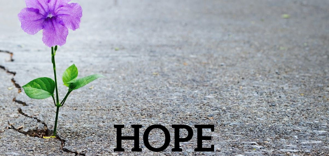 Wednesday's Word November 18th