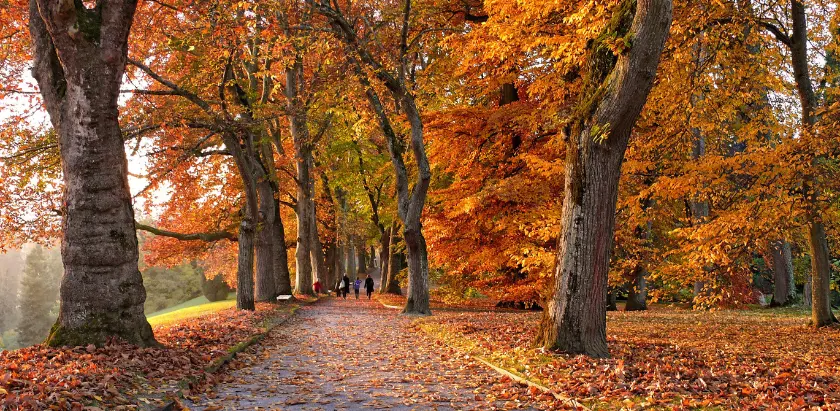 Preston Hollow Church